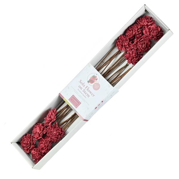 <h4>Sola Cridahlia 8cm O/s 12pc Dark Red</h4>