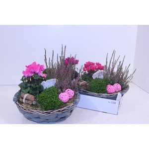 ARR TUINPLANTEN