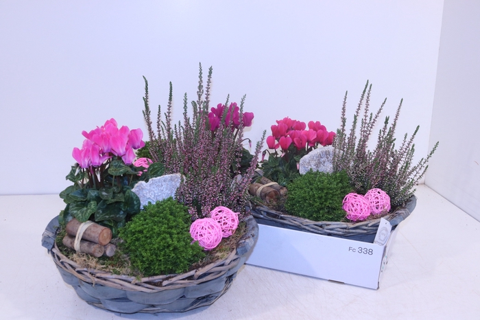 <h4>ARR TUINPLANTEN</h4>