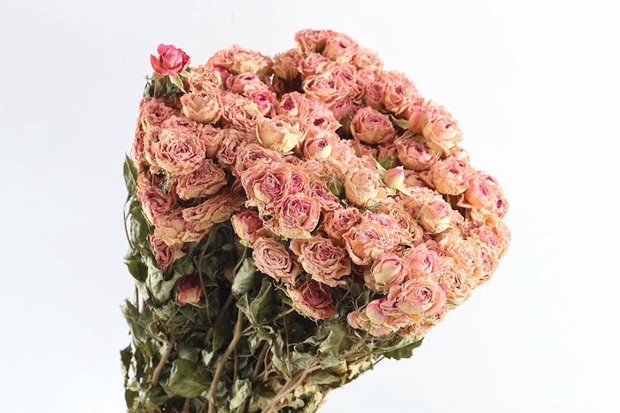 Roses Spray Pink Natural