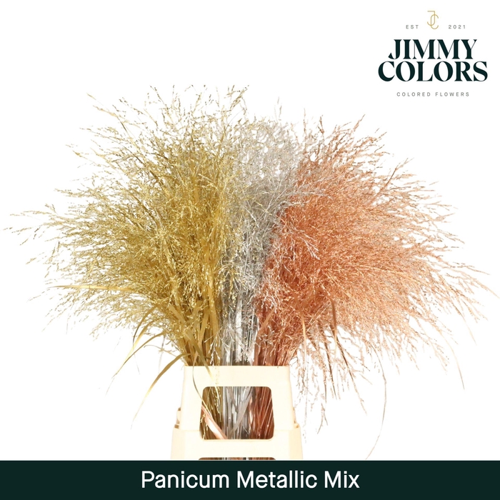 <h4>Panicum L90 Metallic mix</h4>