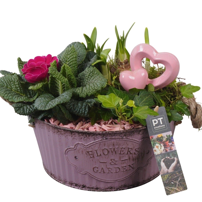 <h4>PTVO3610 Arrangement Valentine Outdoor in metalen schaal</h4>