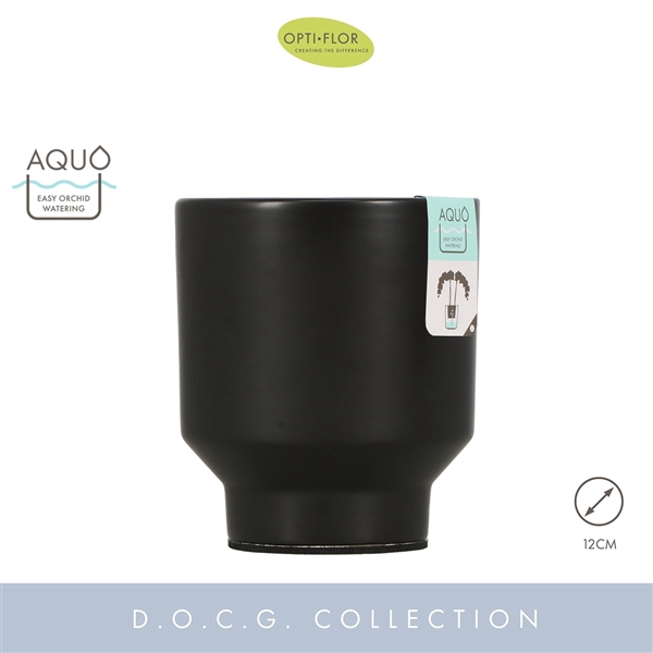 <h4>Emilia Dark Brown 12 cm Aquo</h4>