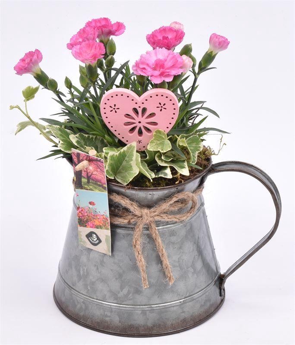 <h4>Zink kannetje met touw 12/18cm</h4>