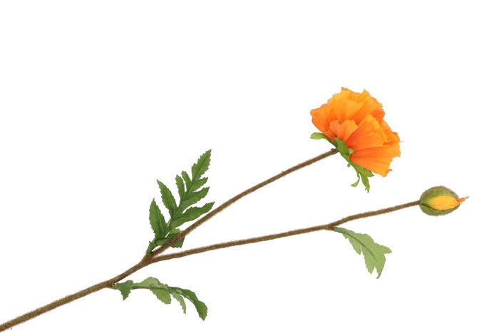 <h4>Silk Papaver Branche Orange L64cm</h4>