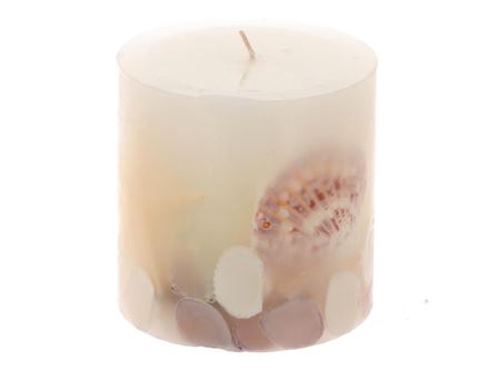 Candle Beach Shell H10d10