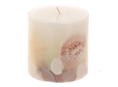 Candle Beach Shell H10D10