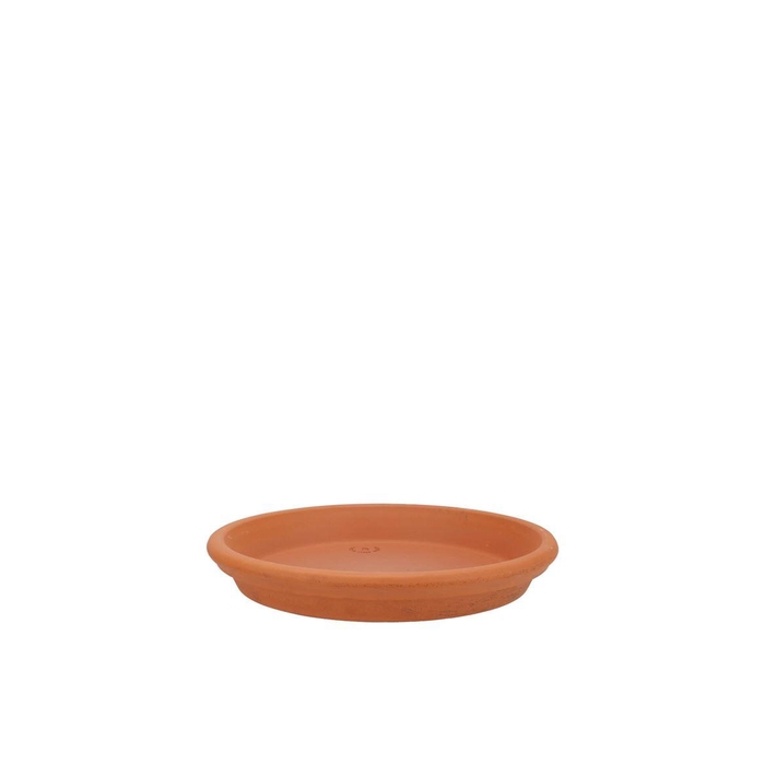 <h4>Terracotta Waterdish D15xh3cm</h4>