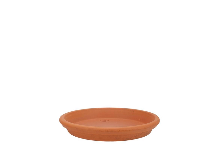 <h4>Terracotta Waterdish D15xh3cm</h4>