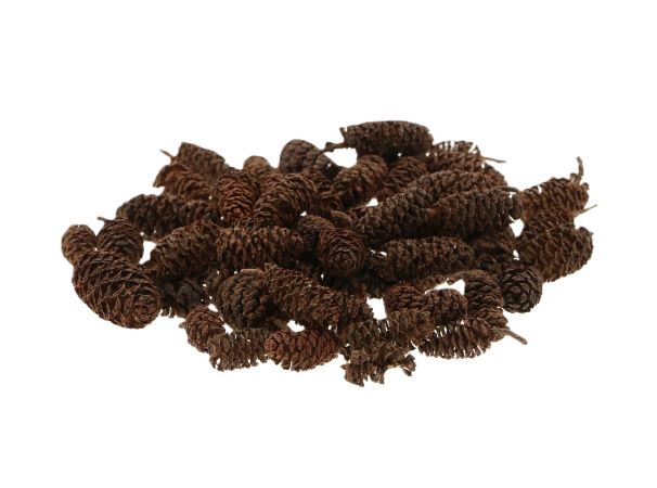 Pinecone Birch 30gr
