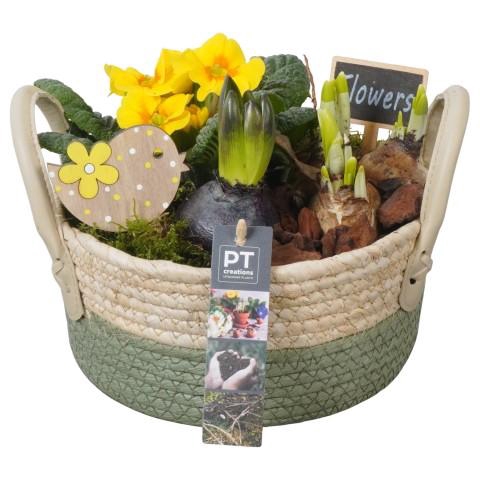 <h4>PTBM3825 Arrangementen Tuinplanten</h4>