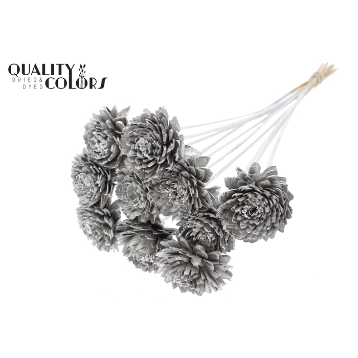 <h4>Shola Zinia 6cm on stem Platina</h4>