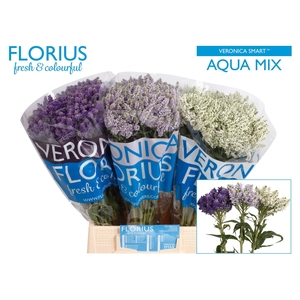 VERON SMART AQUA GEM