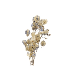 Dried Artz Bougainvillea Matisse Bunch