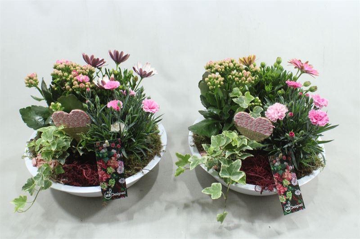 <h4>V127 XL WIT ZINK</h4>