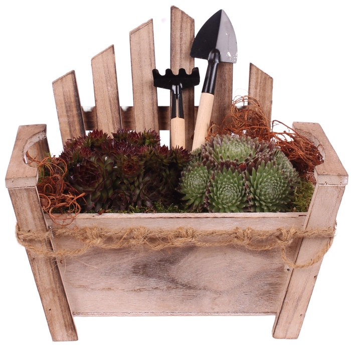 <h4>Opm Semp Arr. Outdoor Wooden Beach Chair</h4>