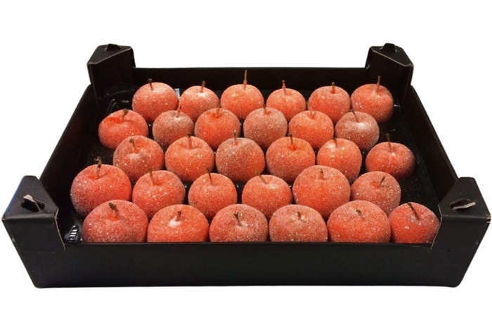 <h4>WAX APPEL H%</h4>