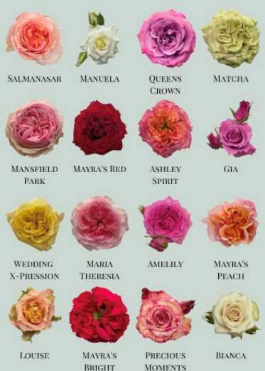 <h4>R GR GARDEN MIX</h4>