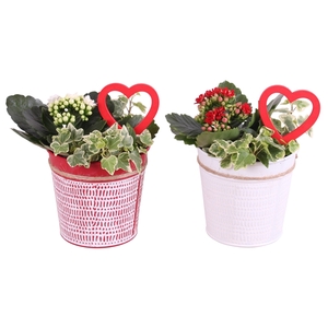 Valentine Arr. Indoor Zinc Pot Round Red/White Ø12cm 2PP