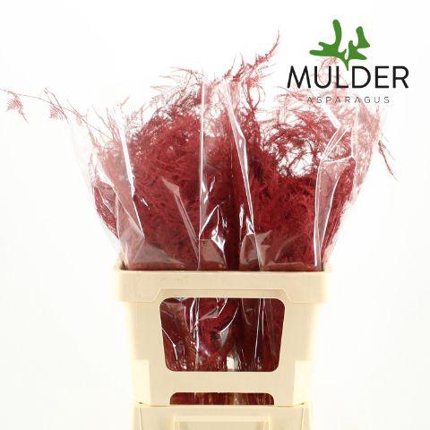 <h4>Asp Extra Klb Red</h4>