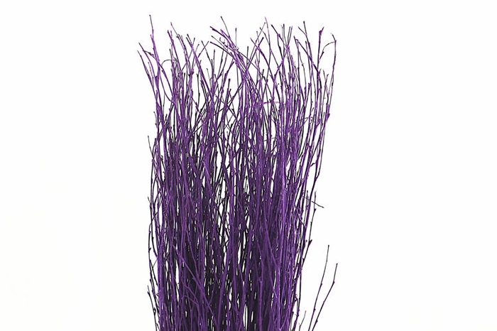 <h4>Berk Klb Purple</h4>