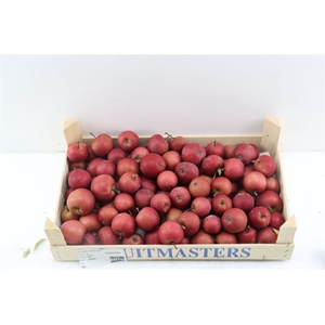 Sier Appels Rood P. Doos