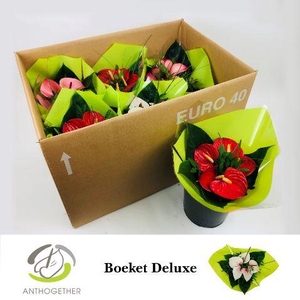 Deluxe Boeket 5 bloem Lime Hoes 6.