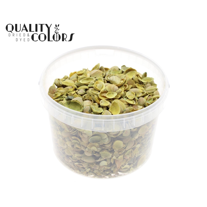 <h4>Shells north sea 3 ltr Yellow</h4>