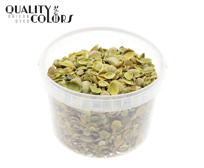 Shells north sea 3 ltr Yellow