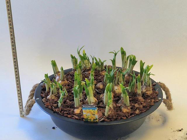 <h4>ARR N TETE A TETE</h4>