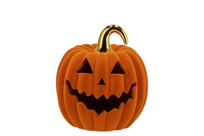 <h4>Autumn Flock Scottish Spice Pumpkin Face Led 15x15x17cm</h4>