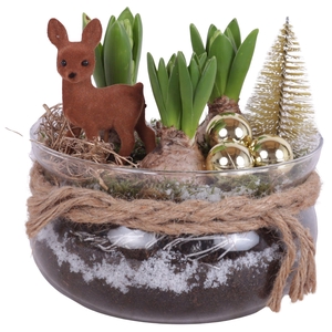 Christmas Arr. Hyacint Glass Bowl with Rope Ø20cm 3PP