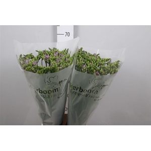 Fr Du Romantic Lavender