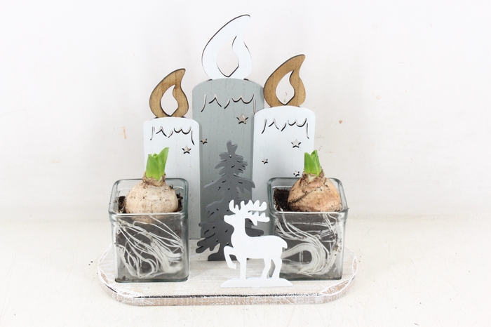 <h4>arr4 Hyacint FL - Cozy candles</h4>