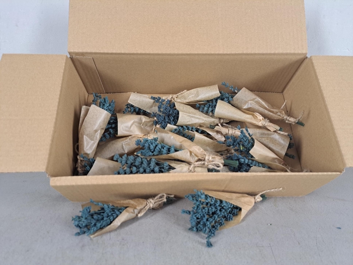 <h4>PF Lavendel Blue</h4>