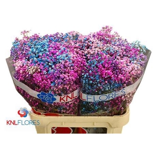 GYPS KLB H% DISCO 80/40GR