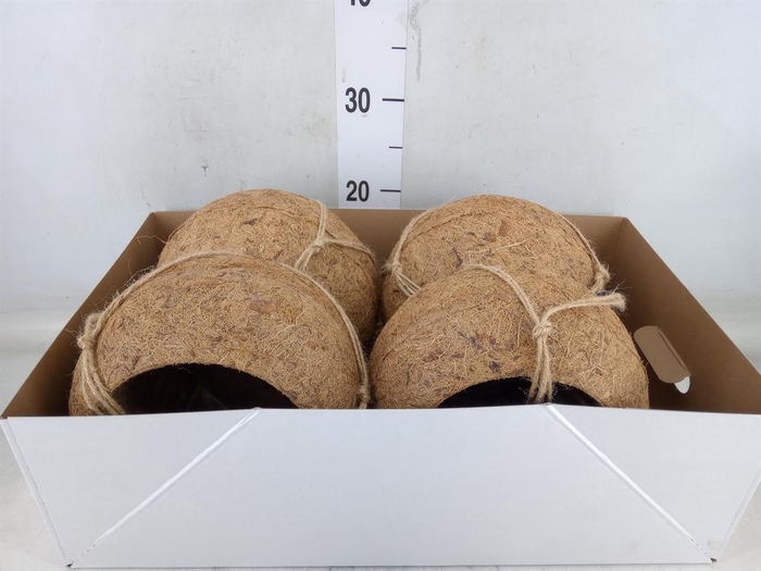 <h4>Pot   ...versierd H%</h4>