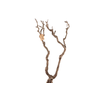 Syringa Branch Extra Kupka
