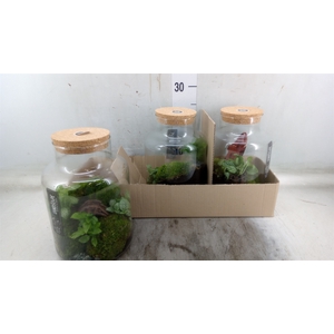 Arr.   Planten H%
