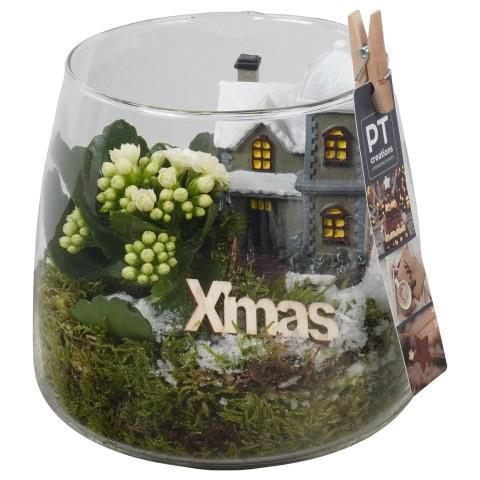 <h4>PTCHW4388 Arrangement Christmas White in glazen pot</h4>