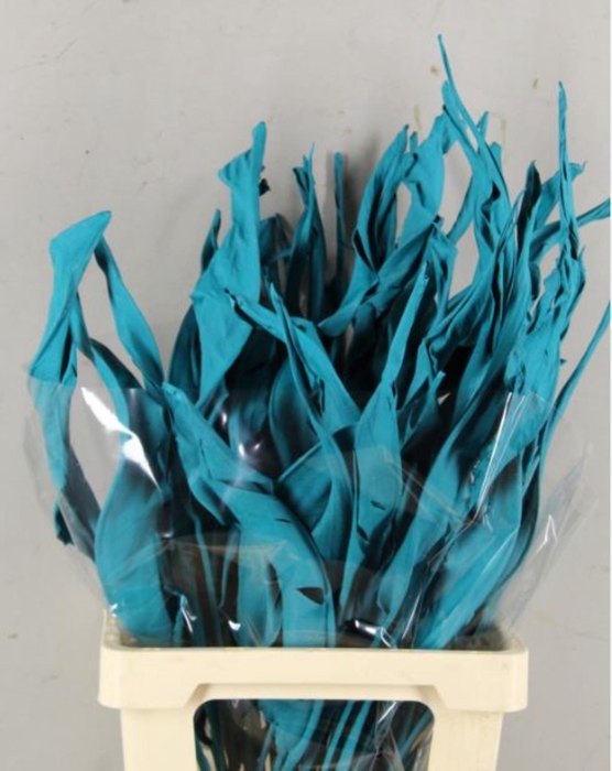 <h4>DF Strelitzia Leaf Turquoise</h4>