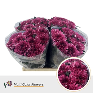 Chr G Undercover Bordeaux