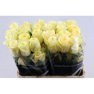 R Gr Creme De La Creme