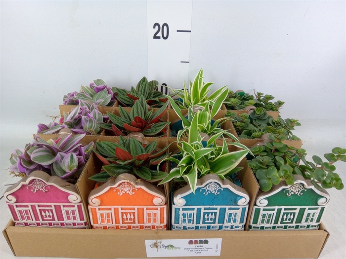 <h4>Planten  ..in schaal L%</h4>