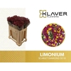 Lim Sin Scar Diamond