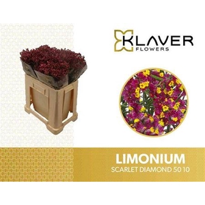 Lim Sin Scar Diamond
