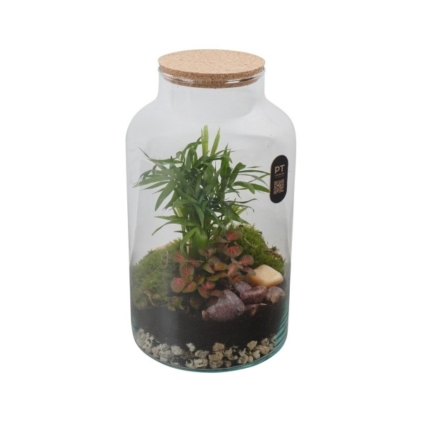 <h4>PTTER8139 Arrangement terrarium in glazen terrarium</h4>