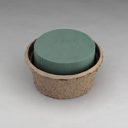 OASIS BIOLIT SCHAAL 10*D16 PER 2ST