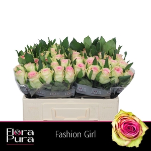 R GR FASHION GIRL