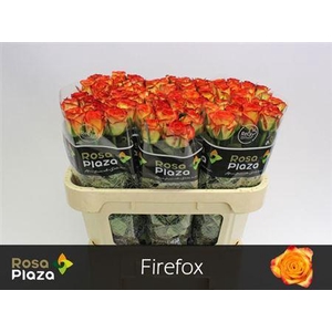 R Gr Firefox
